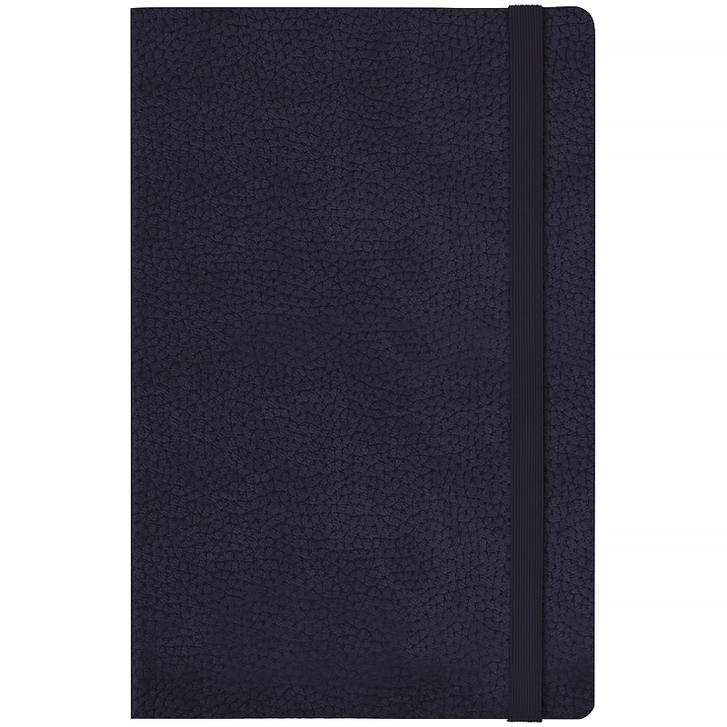 Щоденник 2026 Partner Soft Skin, 145*210, синій Axent - фото 4