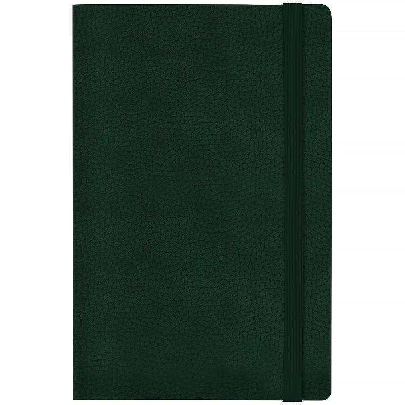 Ежедневник 2026 Partner Soft Skin, 145*210, темно-зеленый Axent - фото 6