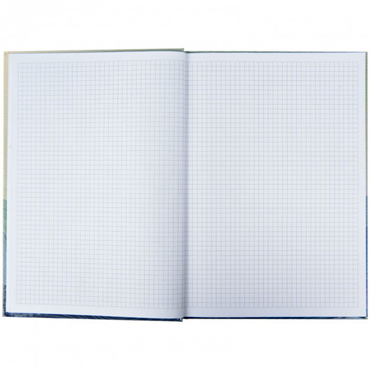 Книга обліку тверда обкладинка, офсет, 96арк., серія Waves, клітинка, син. Axent - фото 5