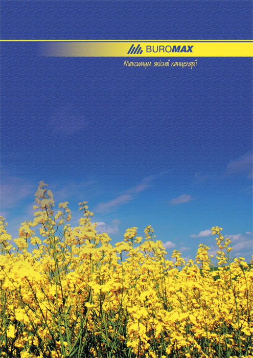 Книга учета 96л. твердый переплет, офсет, кл., ассорт. BuroMax - фото 5