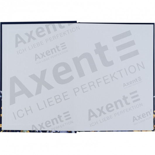 Книга записна, тверда обкл., А5, 96 арк., кліт., UA Українці, син. Axent - фото 5