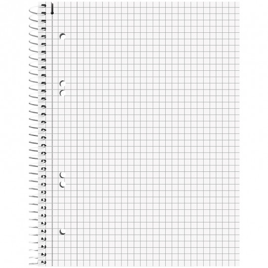 Коледж-блок Premium DUO А5, лінія+клітинка, 80 аркушів, бірюз. Brunnen - фото 4