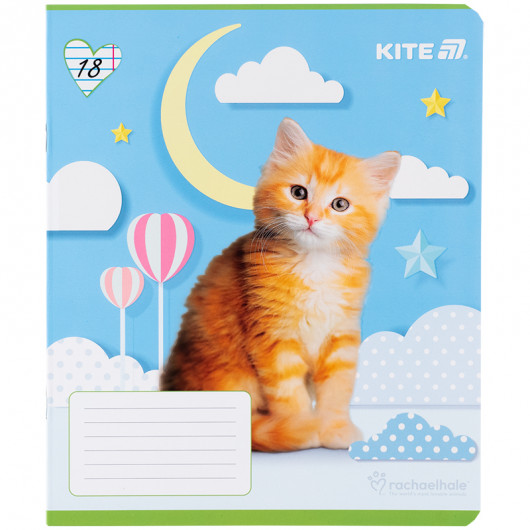 Тетрадь 18 лист., лин., софт-тач + УФ лак, RH (R25-237) Kite - фото 14