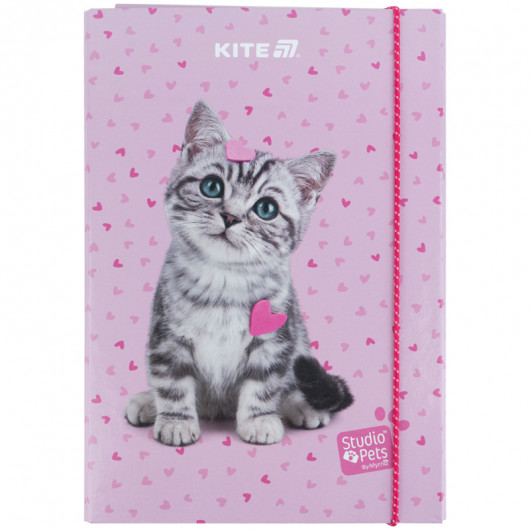 Папка для зошитів В5 на гумці картон, Studio Pets (SP25-210) Kite - фото 5