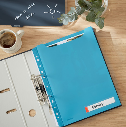 Файл для документов разширенный А4 200мкм 150л Cosy, син. LEITZ - фото 5