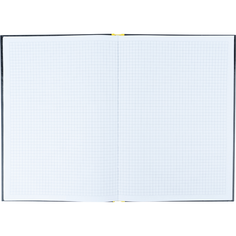 Книга учета 80л., А4, Colors, твердый переплет, офсет, кл., желт. Axent - фото 6