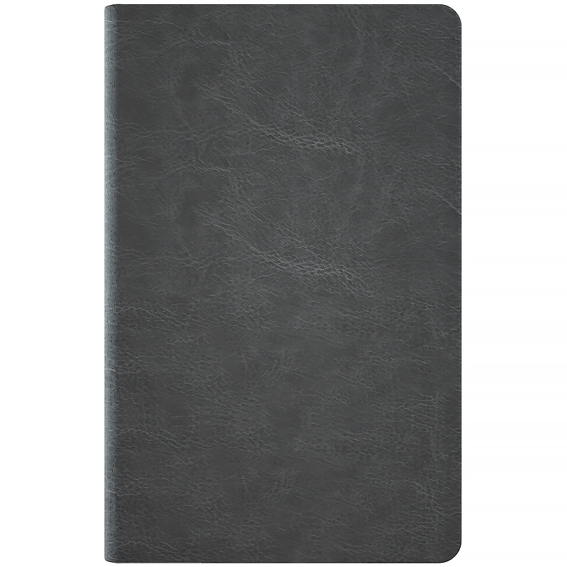 Еженедельник 2026 Partner City Soft, 125*195мм, серый Axent - фото 6