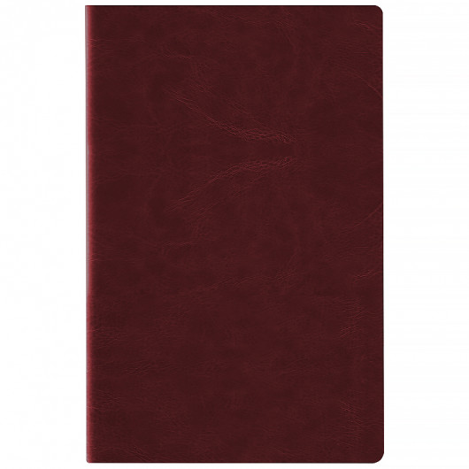 Щоденник 2026 Partner City Soft, 145*210, коричневий Axent — фото 4