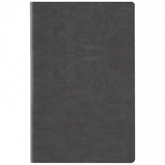 Ежедневник  2026 Partner City Soft, 145*210, серый Axent - фото 4