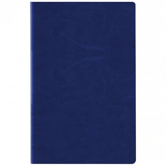 Ежедневник  2026 Partner City Soft, 145*210, синий Axent - фото 4