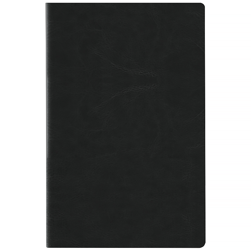 Щоденник 2026 Partner City Soft, 145*210, чорний Axent — фото 4