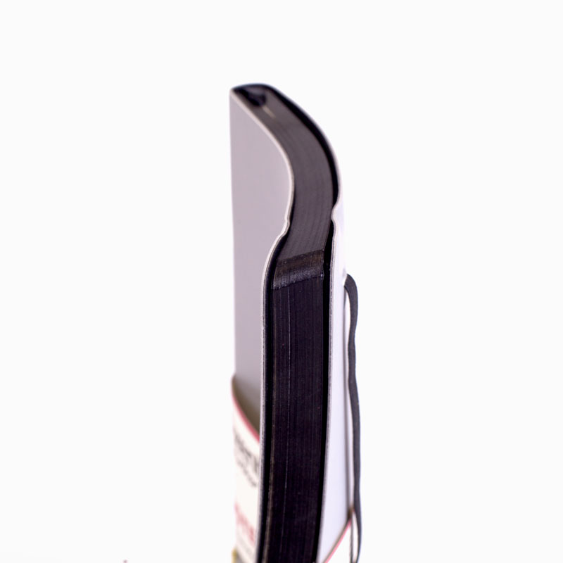 Книга записная Partner Soft, 125*195, 96 л, кл, серебр. Axent - фото 6