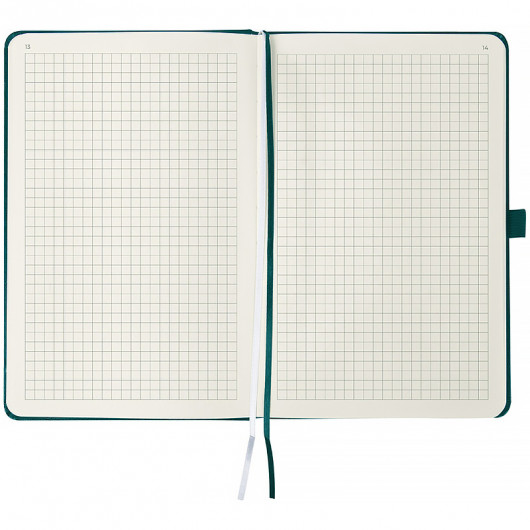 Еженедельник 2026 Partner Strong, 125*195мм, лазурный Axent - фото 6