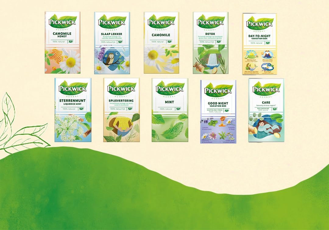 Чай трявяной CARE с зеленым чаем, крапивой, размарином и имбирем, 20пак. по 2,0г. (8711000704639) Pickwick - фото 2