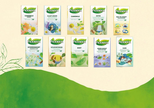 Чай трявяной CARE с зеленым чаем, крапивой, размарином и имбирем, 20пак. по 2,0г. (8711000704639) Pickwick - фото 2