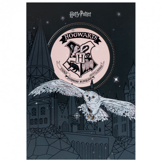 Блокнот-планшет, A5, 50 лист., кл., Harry Potter-1 (HP25-194-1) Kite - фото 4