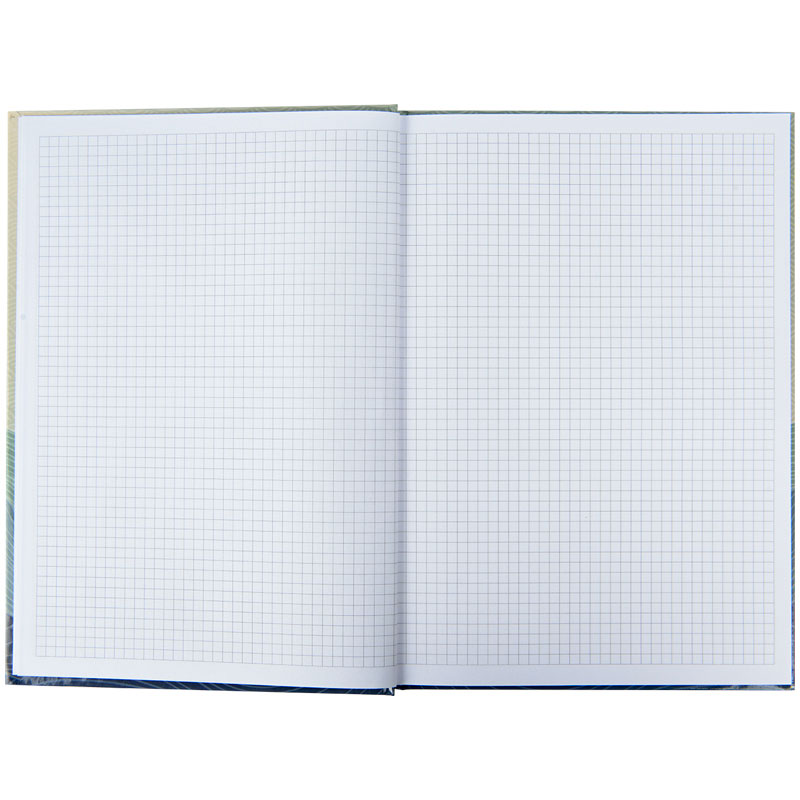 Книга учета 96л. твердый переплет, офсет, серия Waves, клетка, син. Axent - фото 4