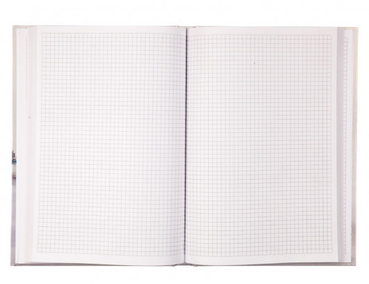 Книга учета 192л. твердый переплет, офсет, кл. Dubai Axent - фото 4