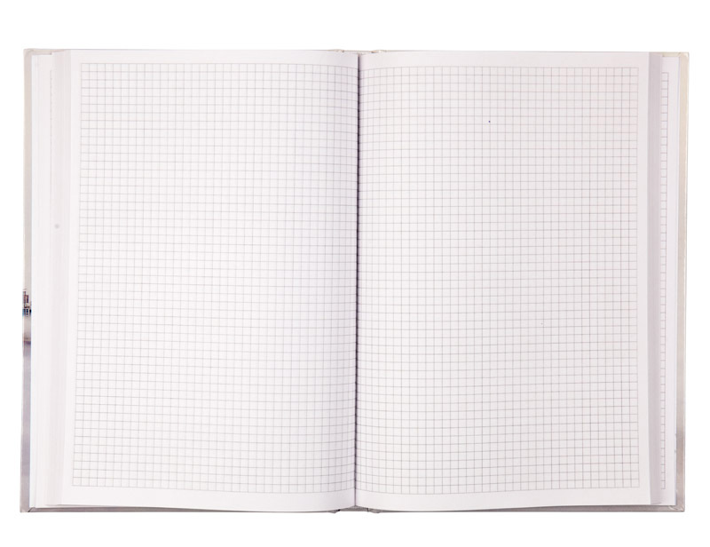 Книга учета 192л. твердый переплет, офсет, кл. San Francisco Axent - фото 4