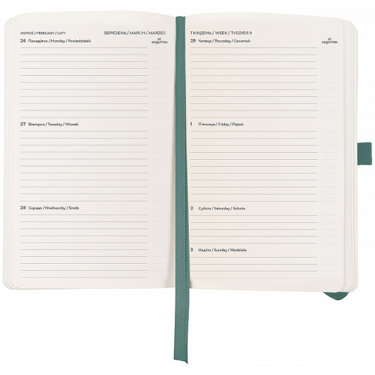 Еженедельник 2026 Partner Soft Skin,125*195мм, серо-лазурный Axent - фото 6