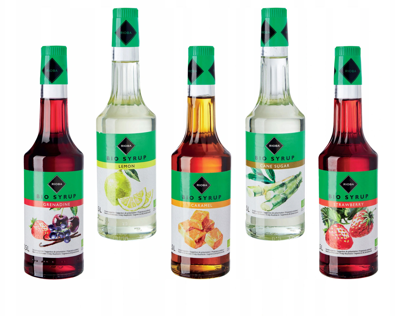 Сироп десертный 0,7л., со вкусом манго Rioba - фото 2