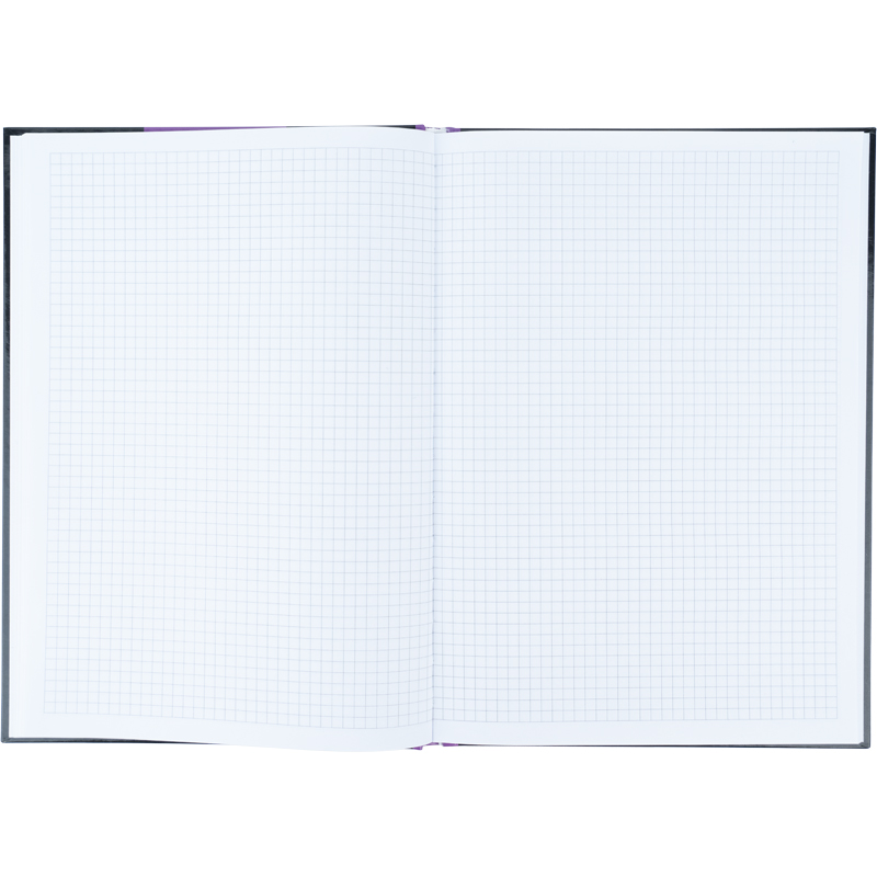 Книга обліку 80арк., А4, Colors, тверда обкладинка, клітинка, фіолет. Axent — фото 5