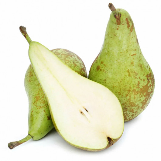 Груша Конференція Нідерланди — фото 3