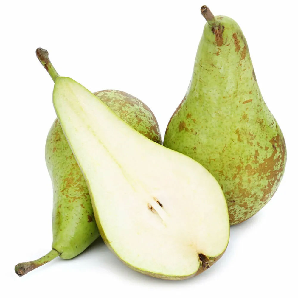 Груша Конференція Нідерланди — фото 3