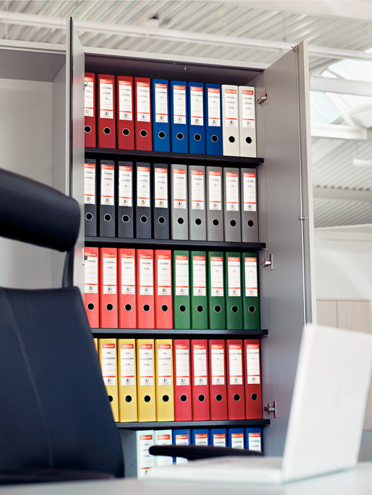 Регистратор 5см. А4 (PP), Econom, син. Esselte - фото 8