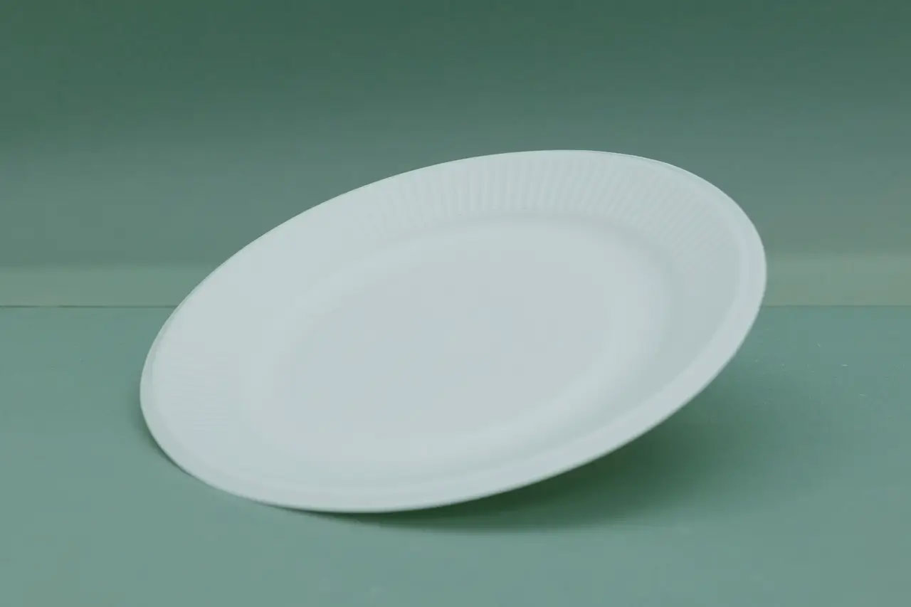 Тарелка бумажная 23см., без делений, 100шт./уп., бел. Украина - фото 2