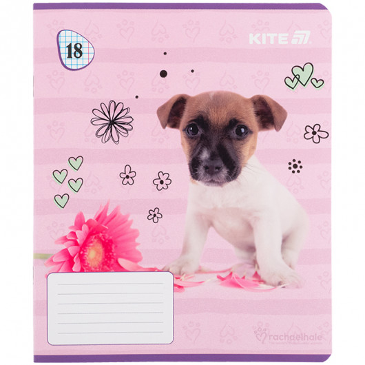 Зошит 18 арк., кл., гібр. лак + УФ лак, RH (R25-236) Kite — фото 12