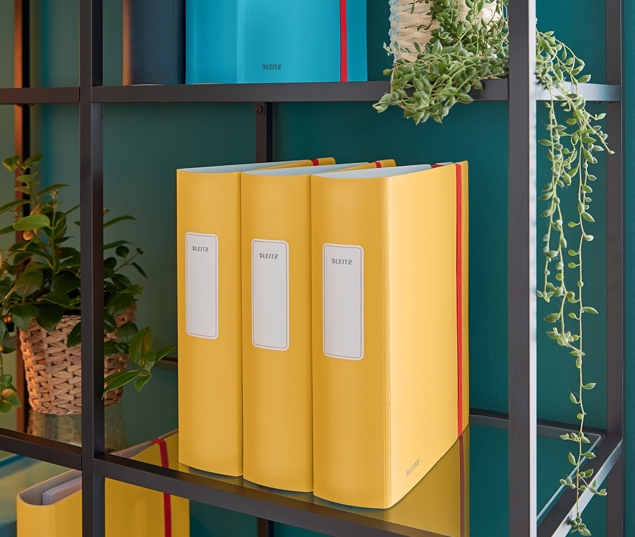 Регистратор 8,2см. А4 (PP) 180 Active Cosy, желт. LEITZ - фото 8