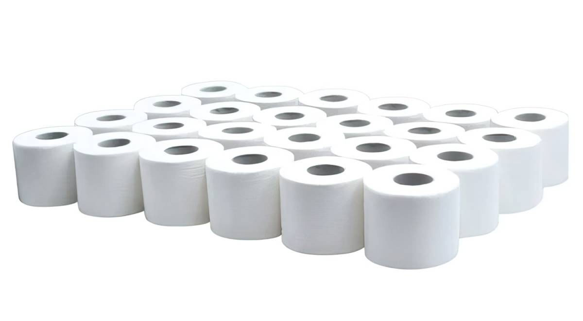 Туалетная бумага Стандарт, 2-х сл., целлюлоза, 455отр. (9*11,35см.), 51,6м., 24шт./уп., бел. Tischa Papier - фото 1