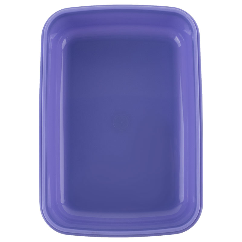 Ланчбокс RH (R25-160) Kite - фото 6