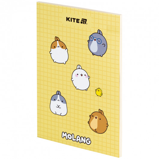 Блокнот, термобіндер А5, 64 арк., Molang (ML25-193) Kite — фото 5