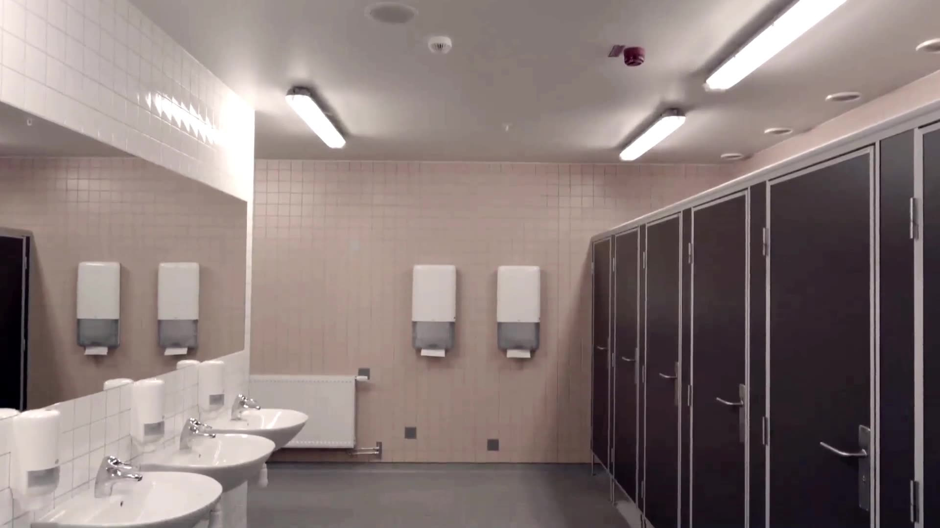 Диспенсер для полотенец, с непрерывной подачей PeakServe, Elevation, (H5), бел. Tork - фото 1