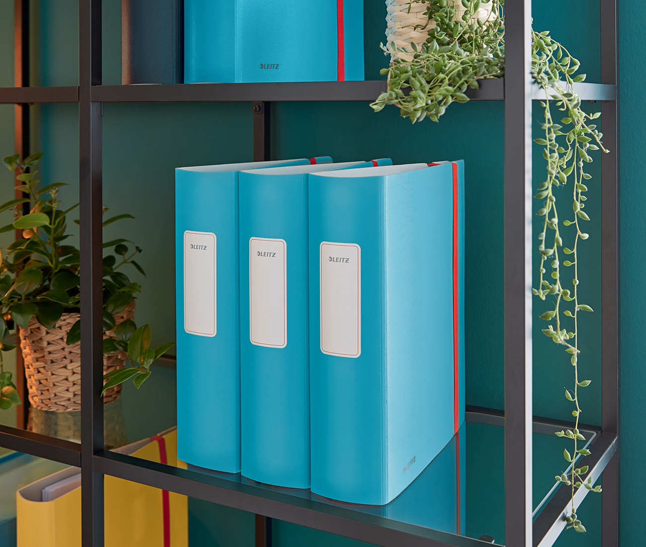 Регистратор 8,2см. А4 (PP) 180 Active Cosy, син. LEITZ - фото 8