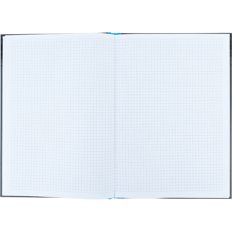 Книга учета 80л., А4, Colors, твердый переплет, офсет, кл., голуб. Axent - фото 6