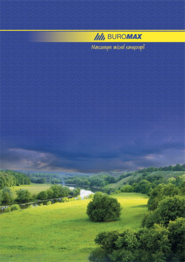 Книга учета 96л. твердый переплет, офсет, кл., ассорт. BuroMax - фото 7