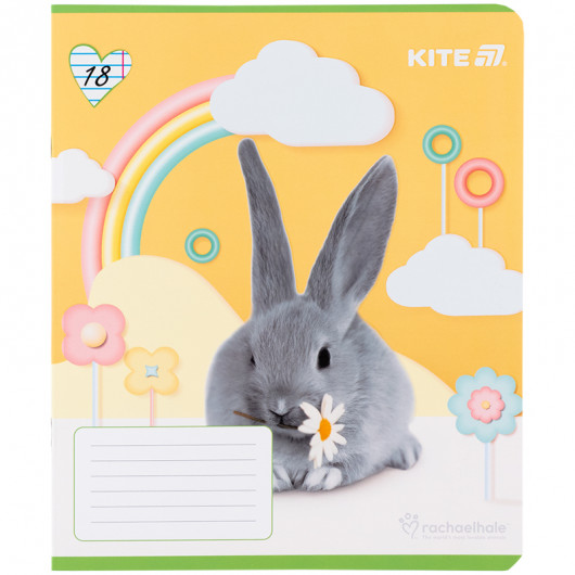 Зошит 18 арк., лін., софт-тач + УФ лак, RH (R25-237) Kite — фото 12