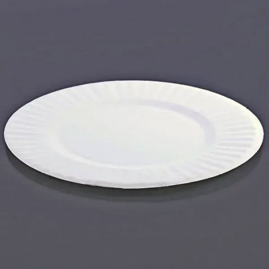 Тарелка бумажная 23см., без делений, 100шт./уп., бел. Украина - фото 3