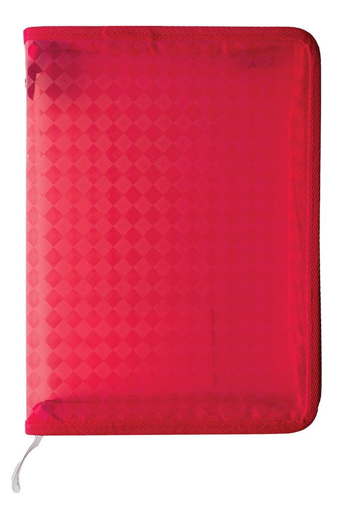 Папка-конверт на молнии А4, ассорт. Scholz - фото 7