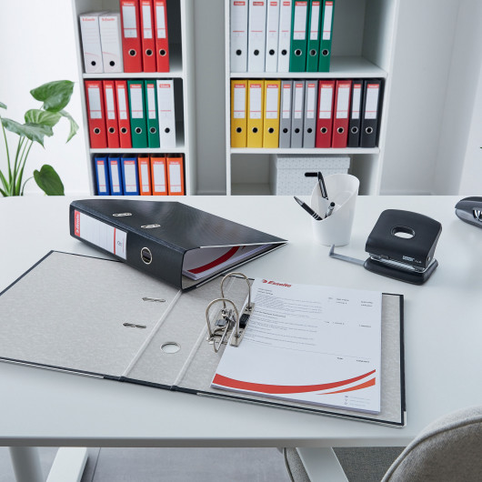 Регистратор 7,5см. А4 (PP), Econom, сер. Esselte - фото 7