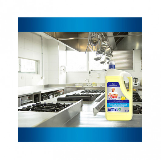 Средство универсальное моющее для твердых поверхностей, 5л. Лимон Mr.Proper - фото 6