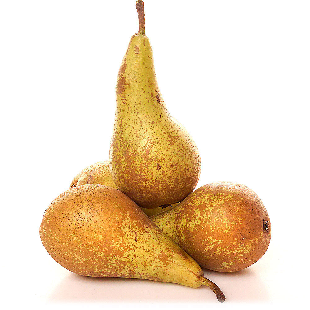 Груша Конференція Нідерланди — фото 4