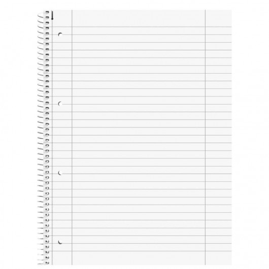 Коледж-блок А4 Premium, лінія, 80 арк., Zenart Lama Brunnen — фото 3