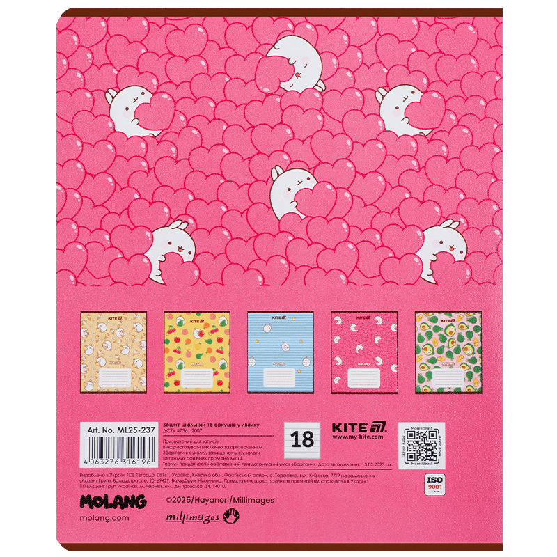 Зошит 18 арк., лін., гібр. лак + УФ лак, Molang (ML25-237) Kite — фото 17