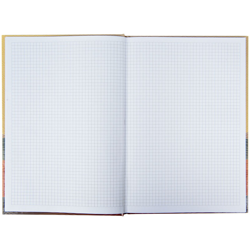 Книга учета 96л. твердый переплет, офсет, серия Waves, клетка, бронз. Axent - фото 6