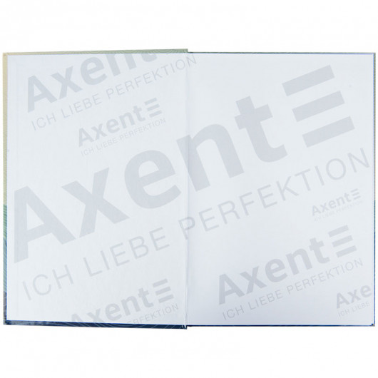 Книга обліку 96арк., тверда обкладинка, офсет, серія Waves, клітинка, син. Axent — фото 5