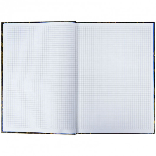 Книга обліку 96арк., тверда обкладинка, офсет, серія Waves, клітинка, блакит. Axent — фото 6